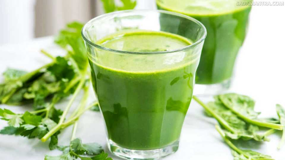 10 Manfaat Jus Bayam untuk Kesehatan