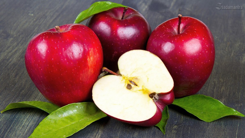 15 khasiat apel merah terhadap beberapa penyakit