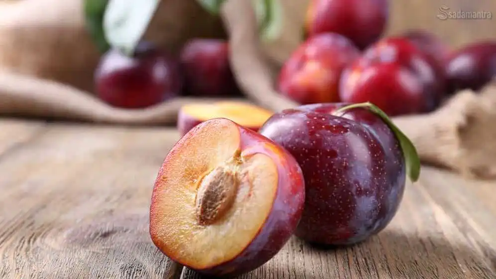 19 manfaat buah plum bagi kesehatan dan kecantikan serta cara mengkonsumsinya