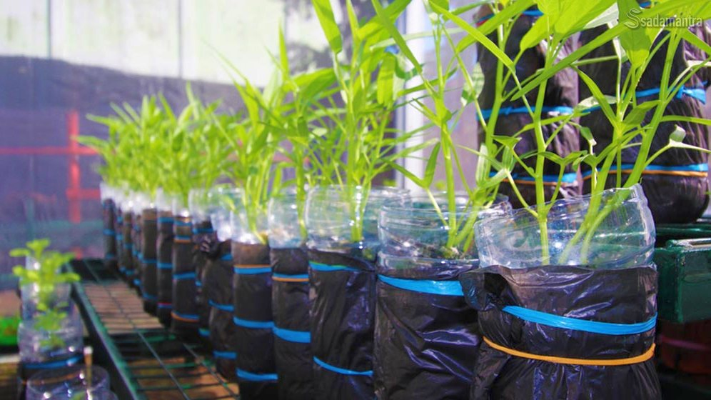 alat dan bahan hidroponik sistem wick sederhana