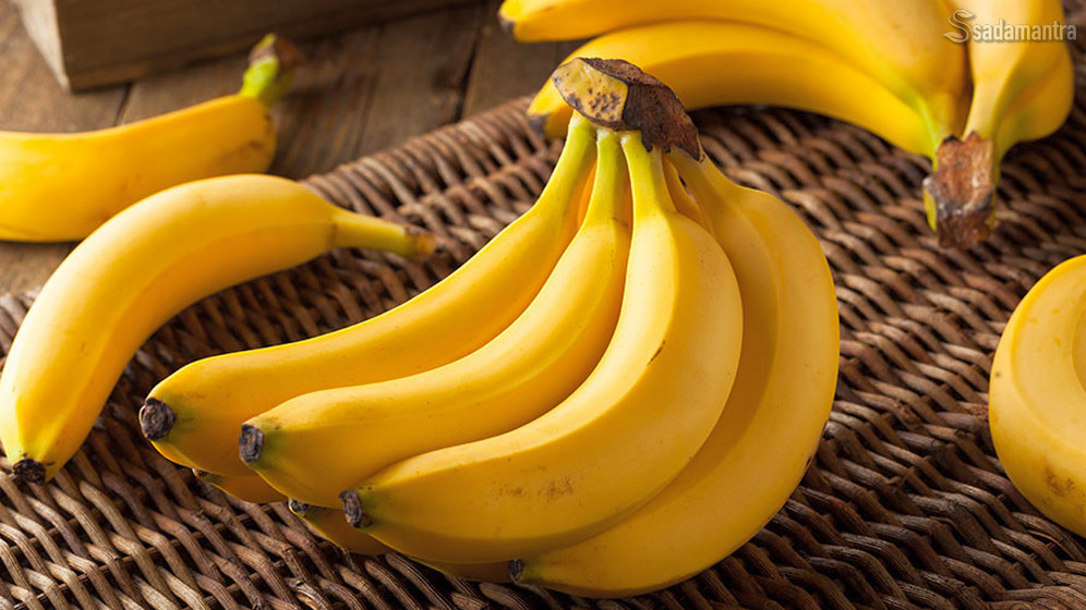 apakah makanan rendah kalori yang bagus untuk anjing bisa makan pisang