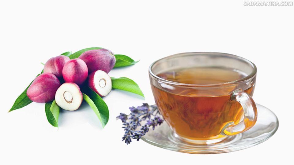 cara membuat teh mahkota dewa