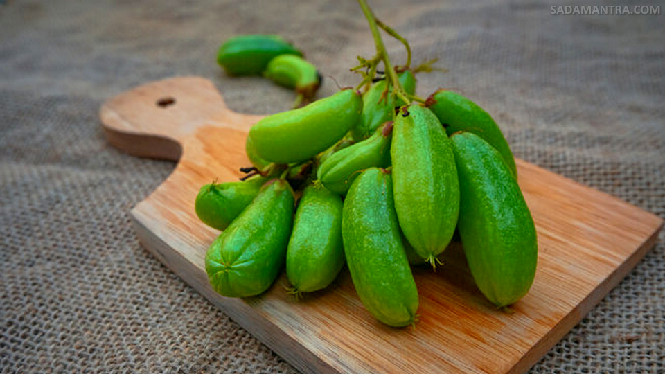 cara mengolah belimbing wuluh untuk obat