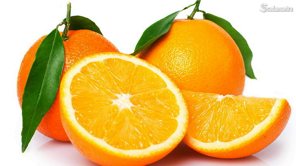 jenis buah jeruk manis tanpa biji untuk diet