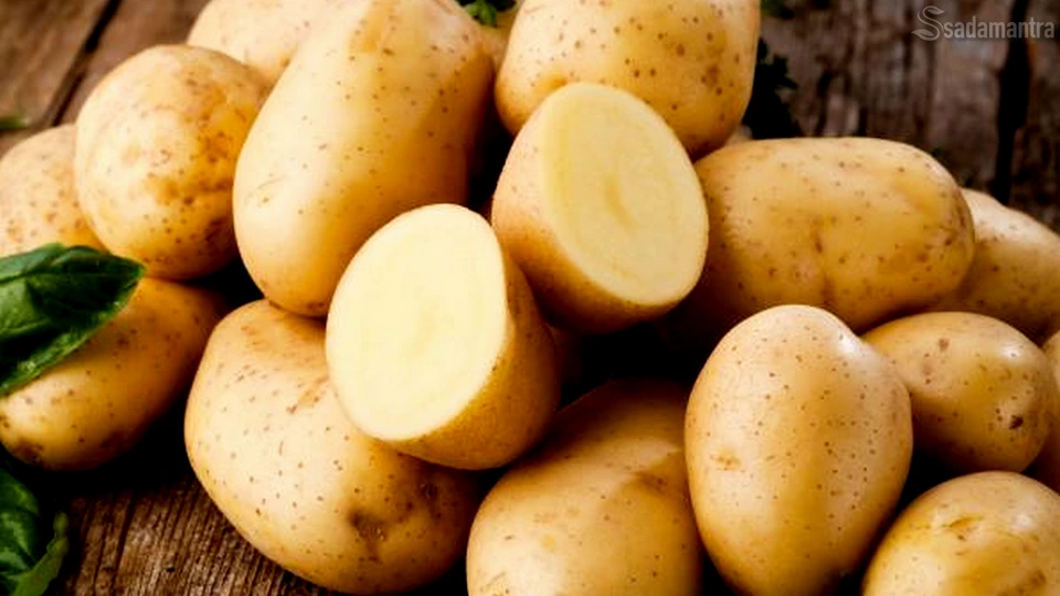 kentang apakah karbohidrat