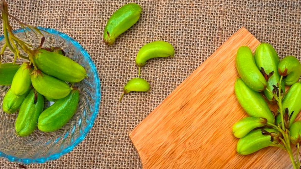 khasiat belimbing wuluh