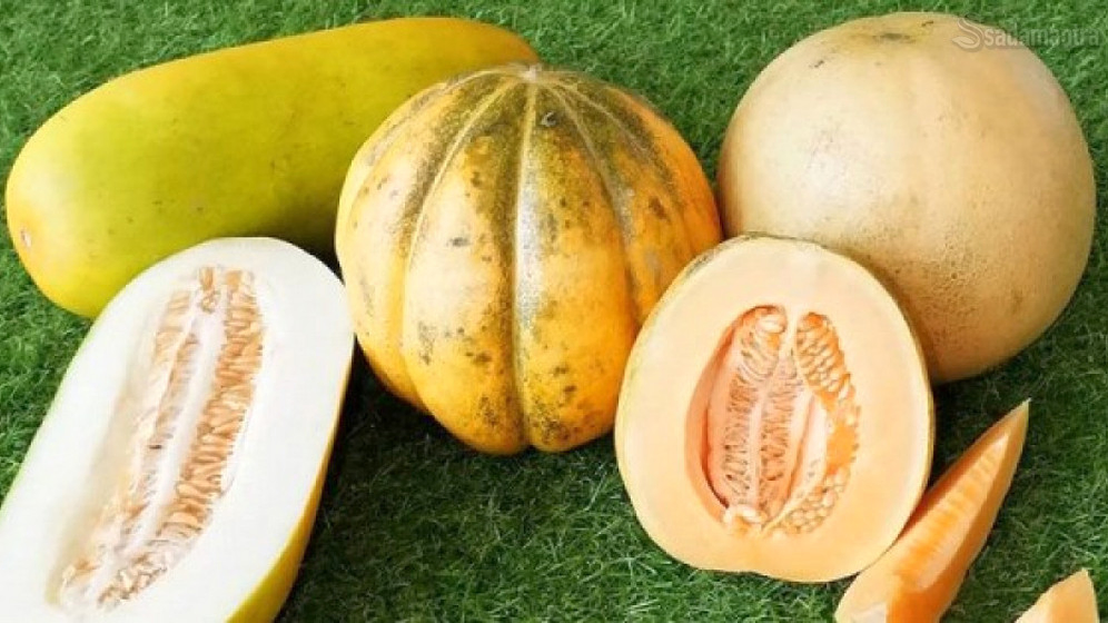 khasiat buah blewah yang baik untuk kesehatan tubuh