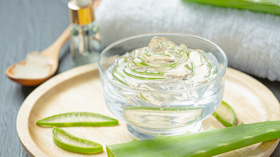 lidah buaya cream