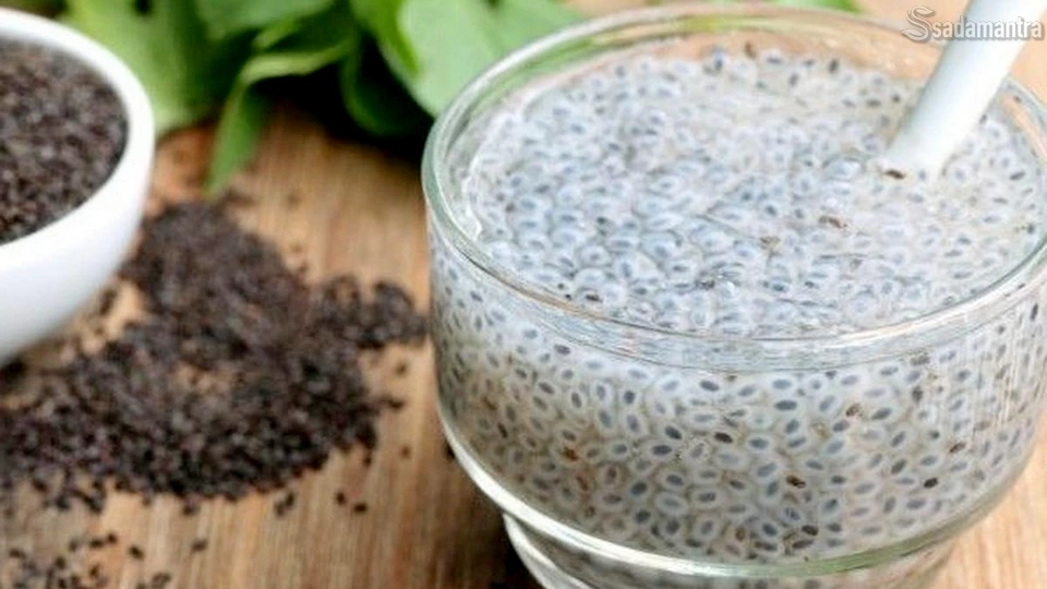 manfaat biji selasih