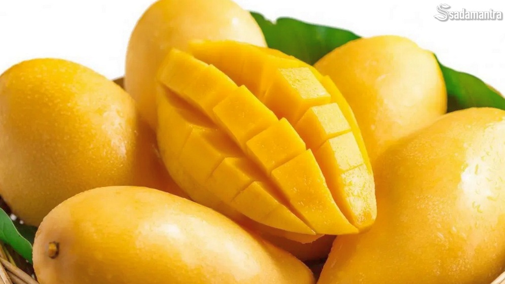 manfaat buah mangga untuk kesehatan dan ibu hamil