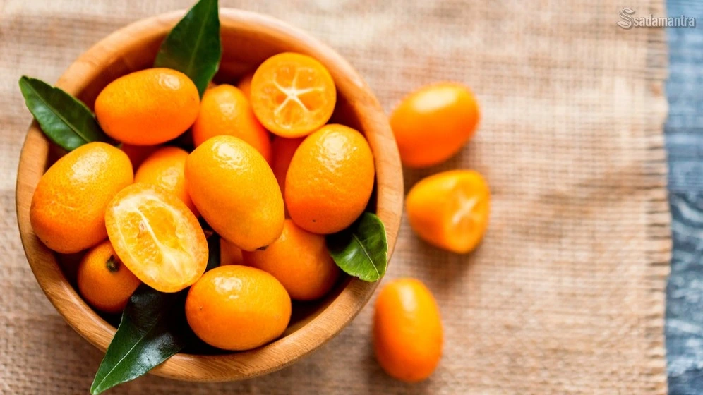 manfaat jeruk kumquat nagami adalah