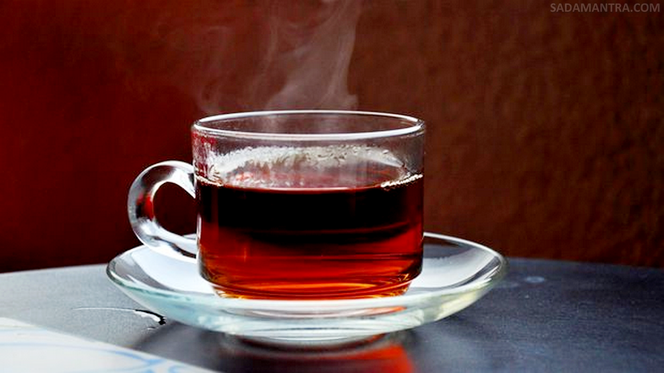 manfaat rebusan daun kumis kucing