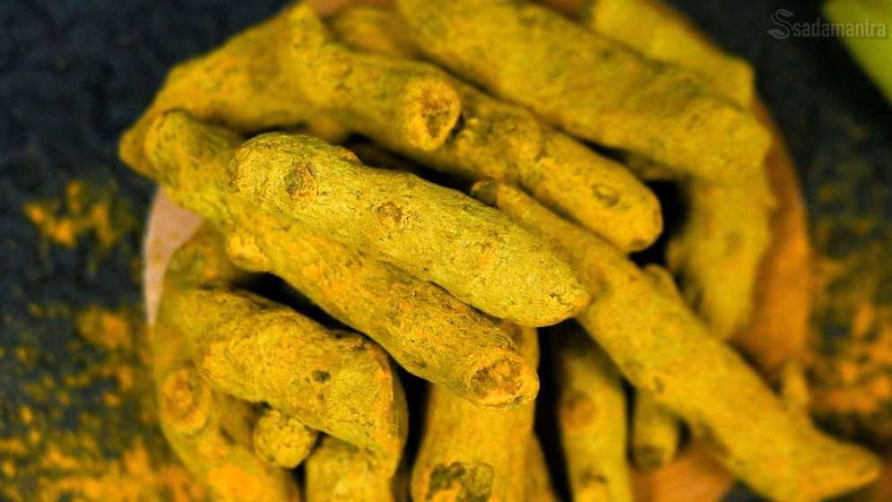 mengenal tanaman obat temulawak dan khasiatnya