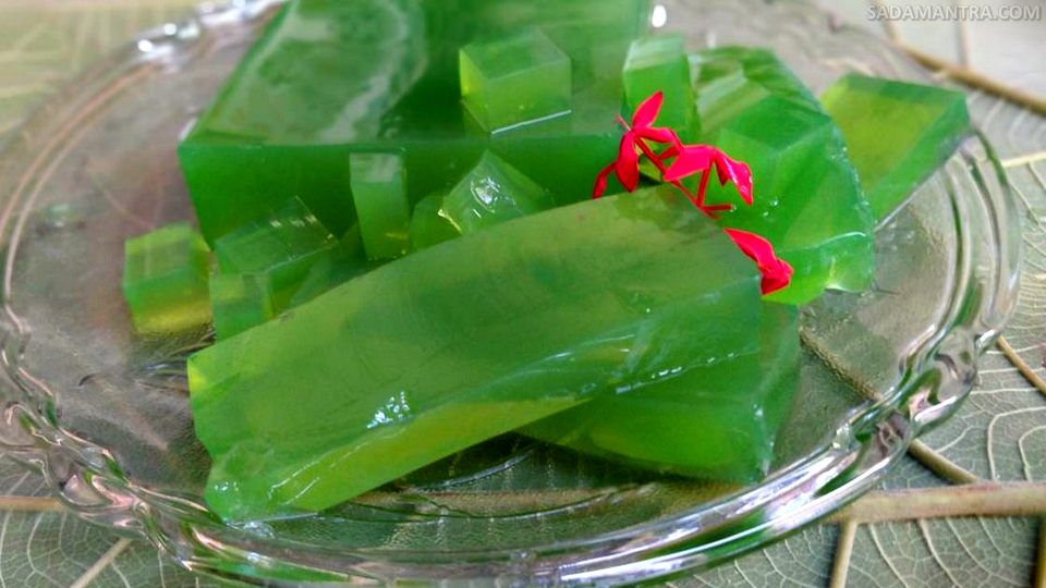 resep puding lidah buaya