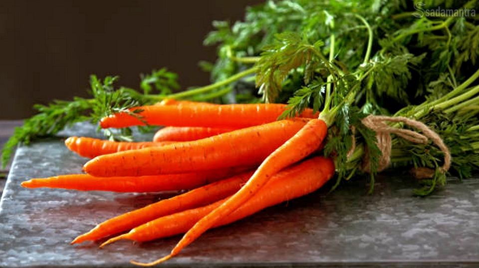 wortel mengandung vitamin