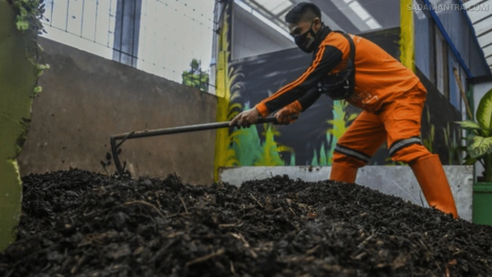 alternatif pengganti pupuk kandang