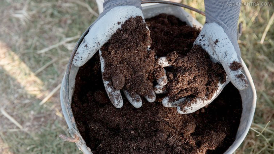 apa itu pupuk hayati