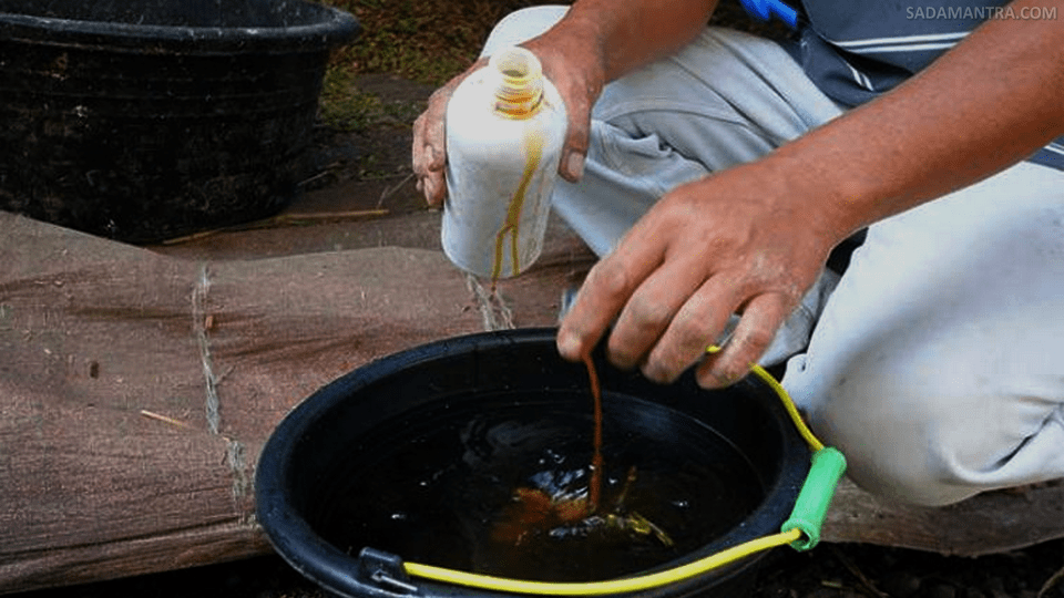 cara membuat pupuk cair organik