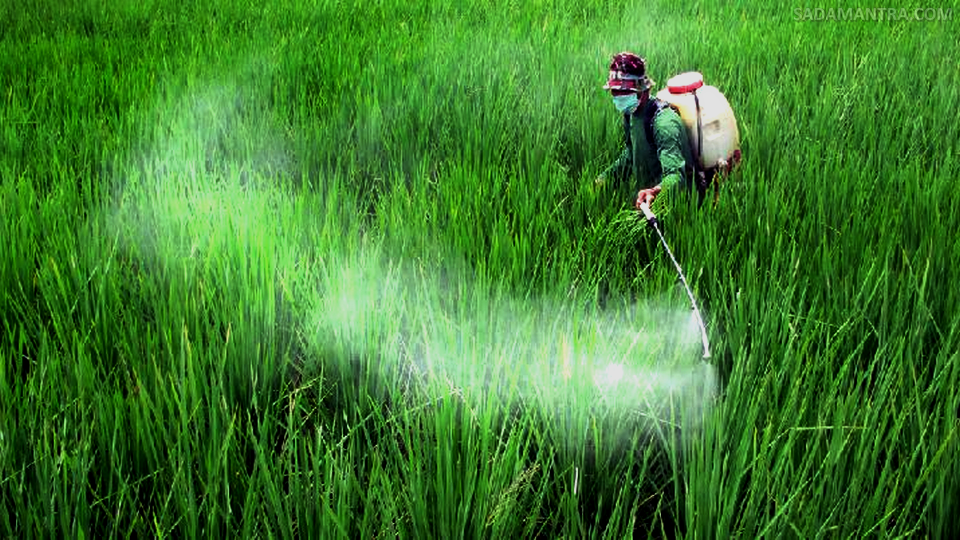 cara menggunakan pupuk hayati cair