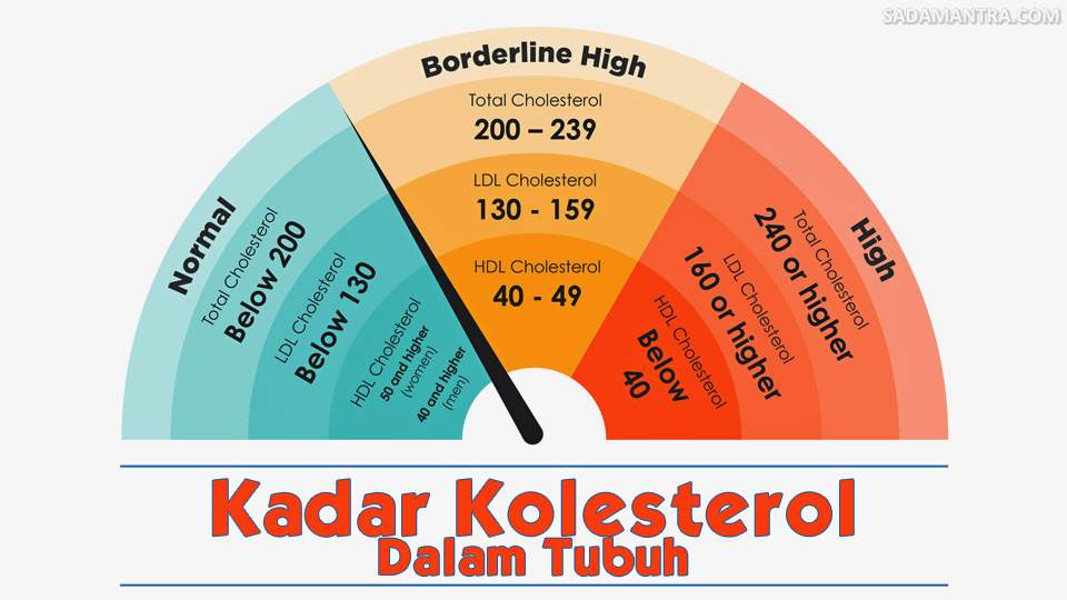 cara menurunkan kadar kolesterol