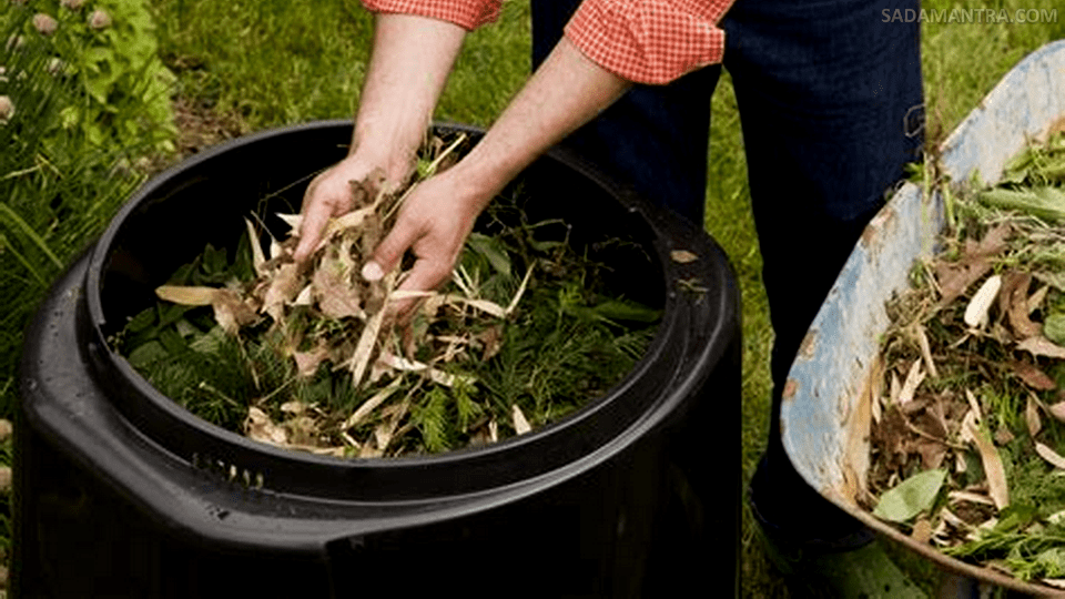 Cara Pembuatan Pupuk Serasah