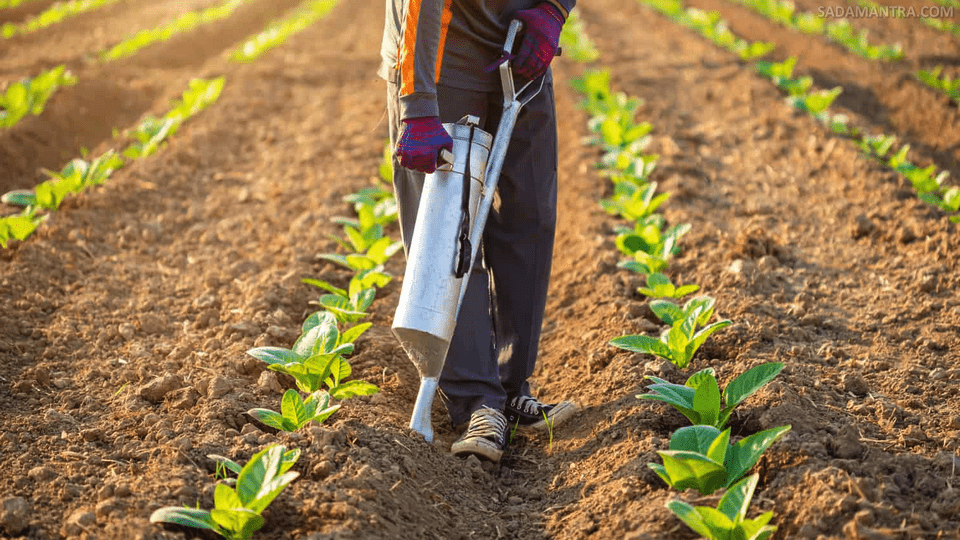 cara penggunaan pupuk cair organik