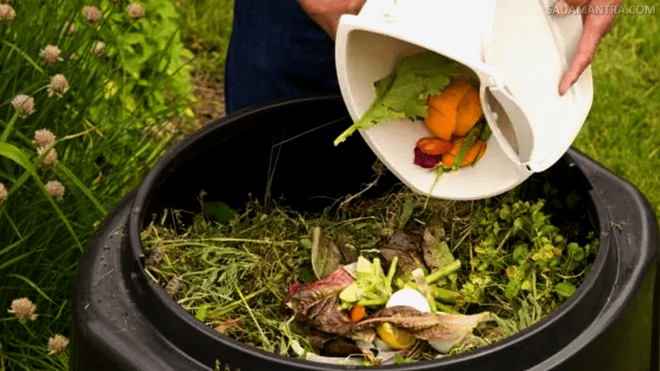 Contoh Pupuk Serasah