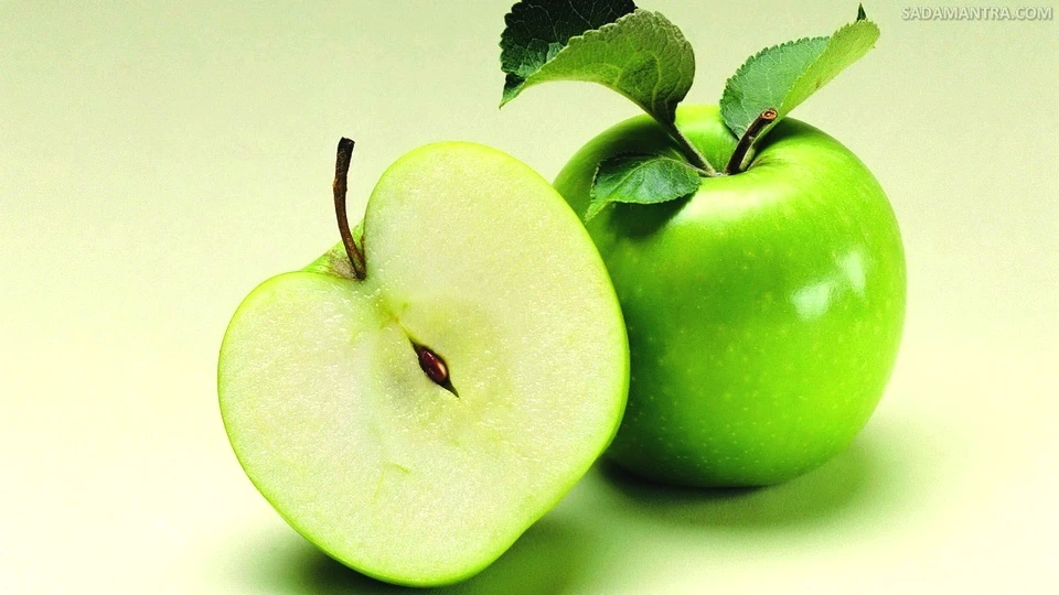 foto buah apel hijau