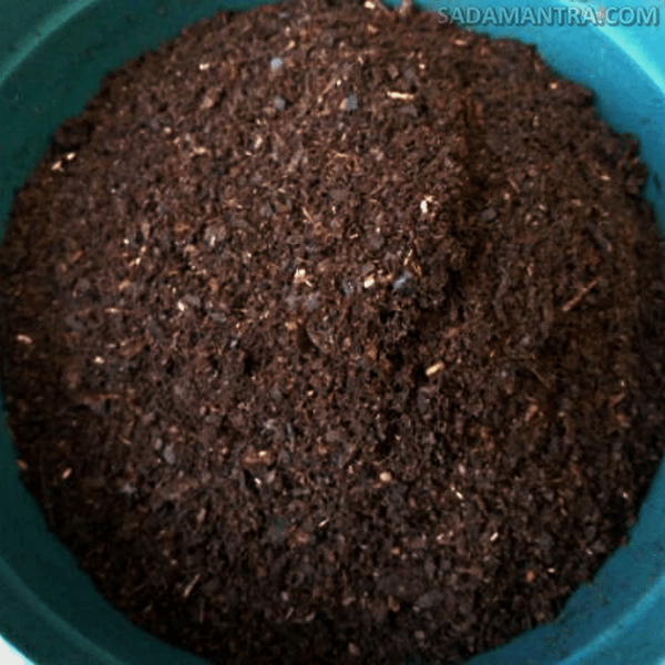 Gambar Pupuk Serasah