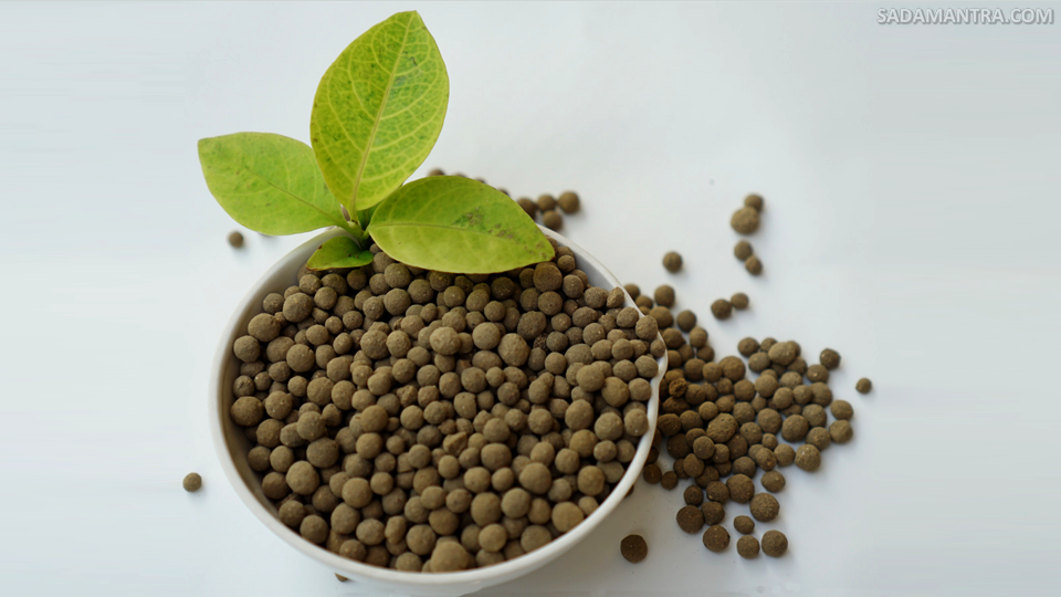 kandungan pupuk guano