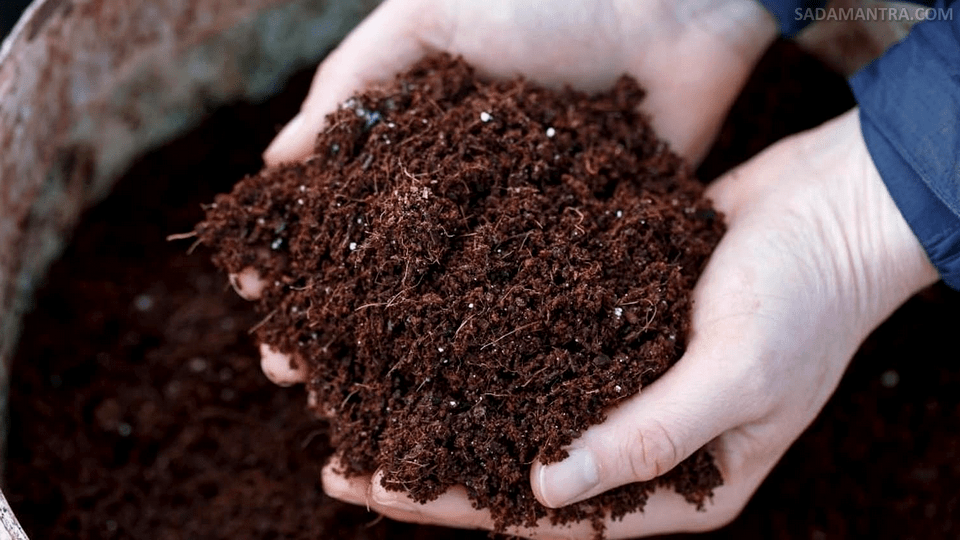 Manfaat Pupuk Serasah