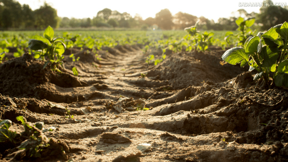 Penyebab Erosi Tanah