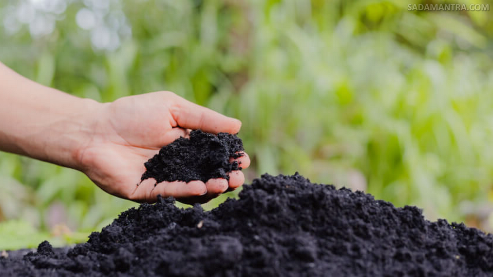 proses pembuatan pupuk kompos