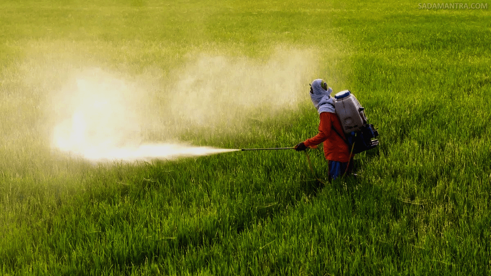 pupuk cair organik adalah
