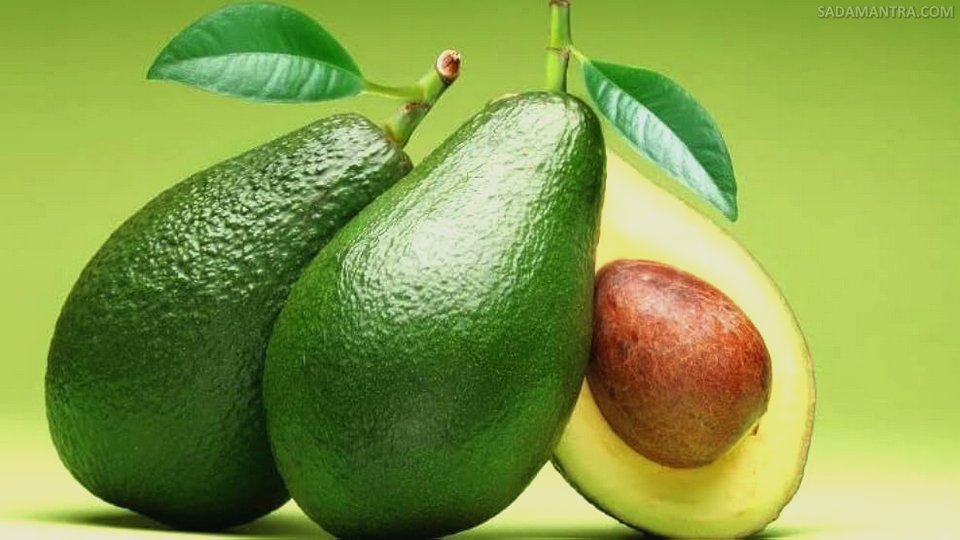 apakah alpukat bikin gemuk