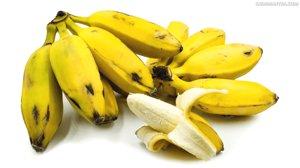 apa rasa pisang kepok?