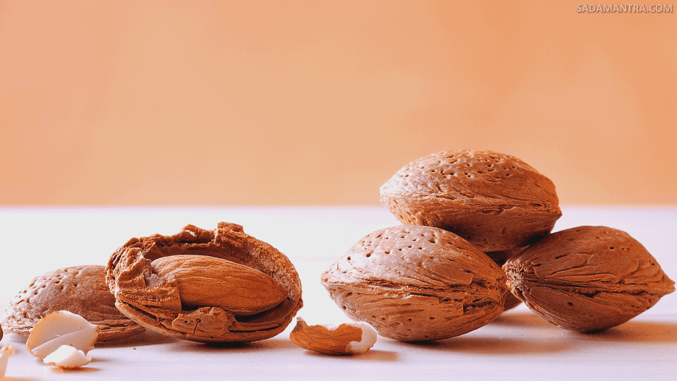 foto gambar kacang almond