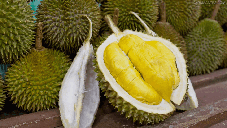 harga durian musang king