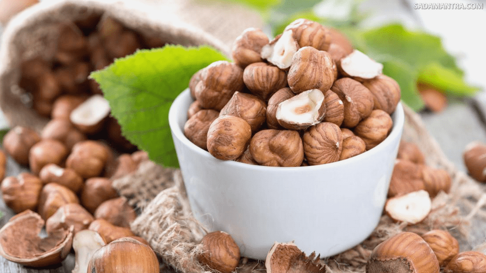 kandungan gizi kacang hazelnut