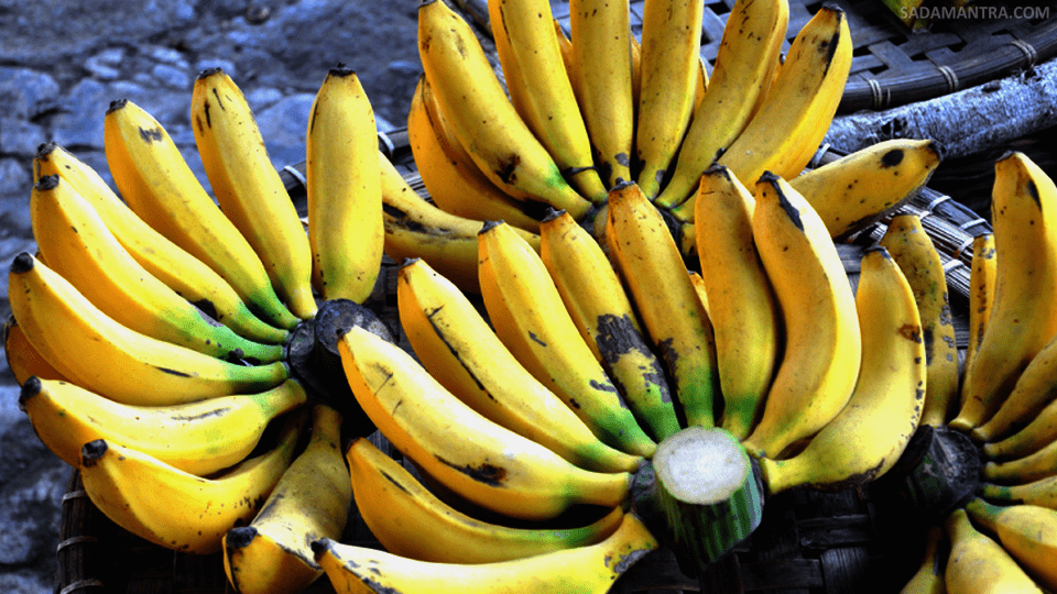 pisang raja itu seperti apa?