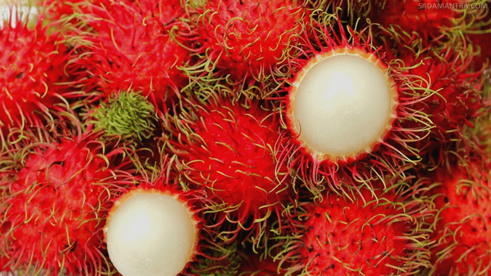rambutan apa yang paling manis?