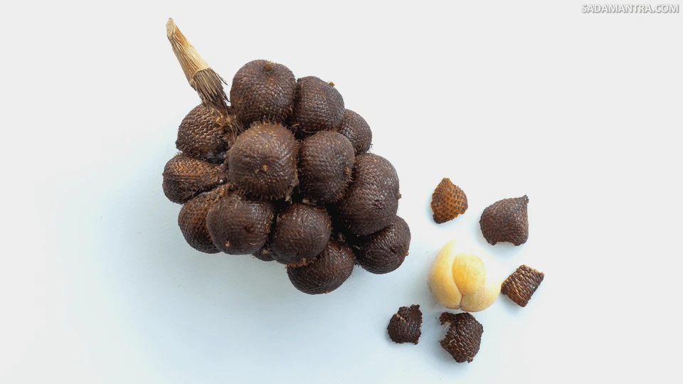 salak apa yang paling manis?