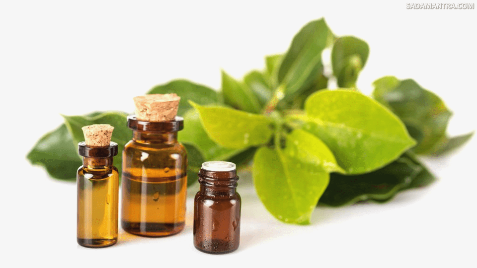 apa kegunaan minyak kamper