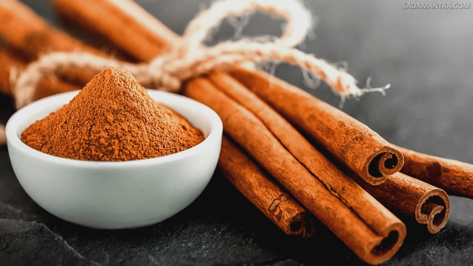 apa khasiat pohon kayu manis