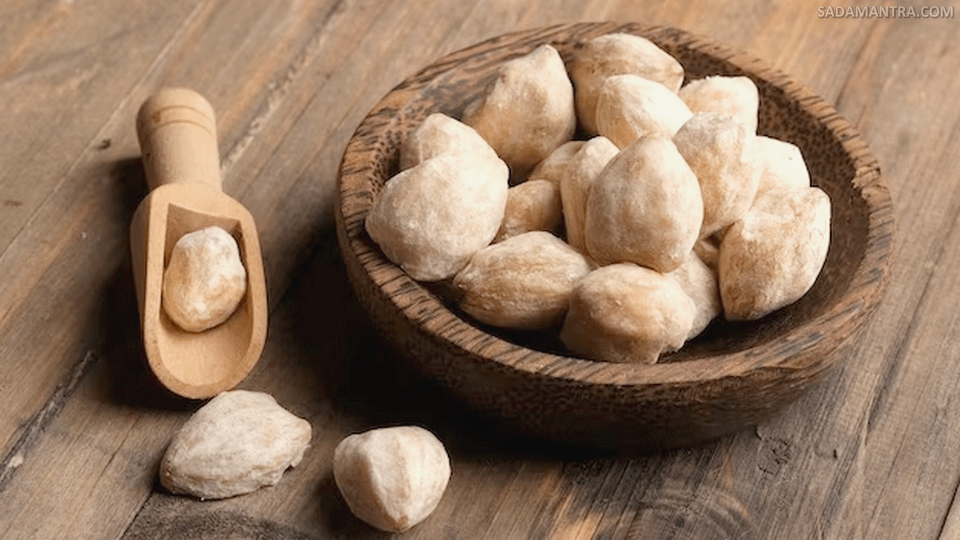 bahasa inggris kacang kemiri