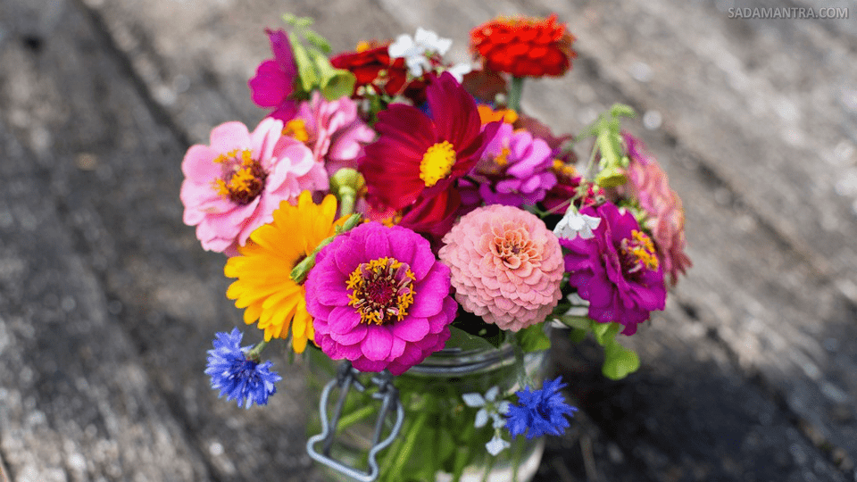 bunga potong apa saja?