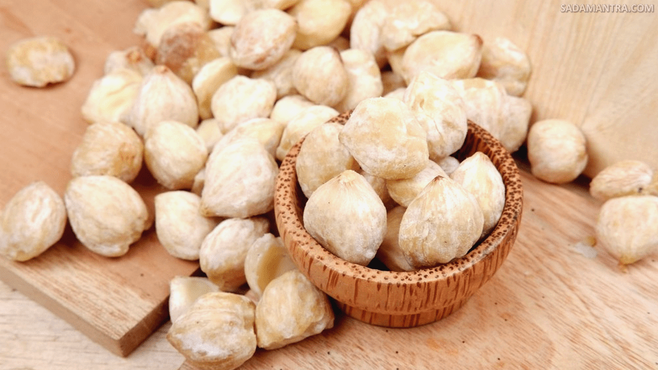 kandungan gizi kemiri