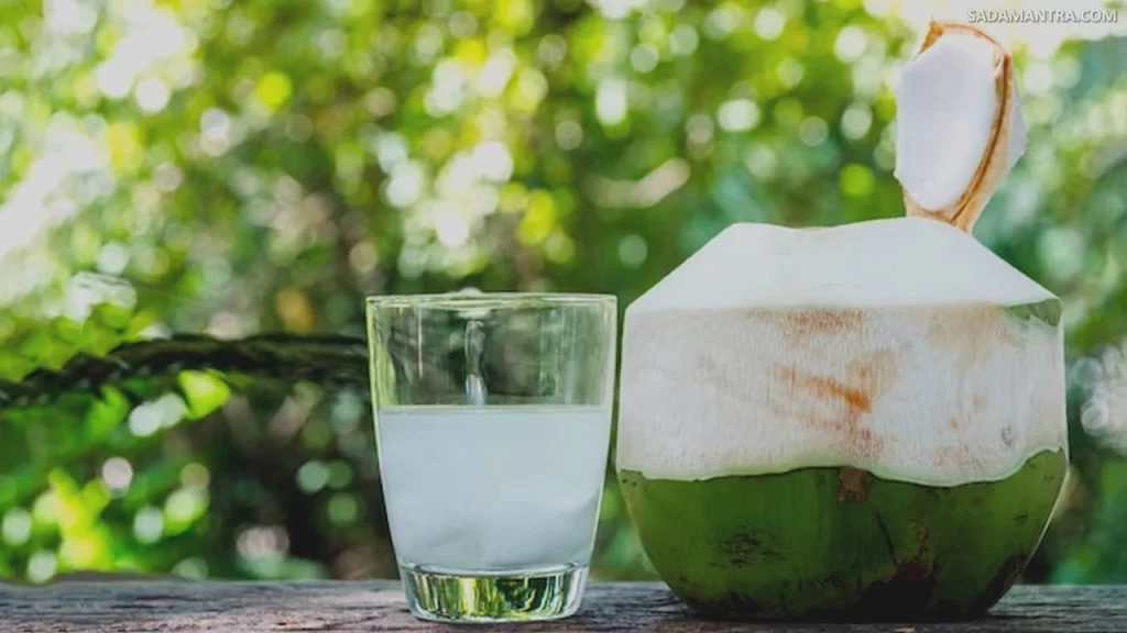 minum air kelapa, manfaat minum air kelapa, minum air kelapa setiap hari, efek samping minum air kelapa muda, aturan minum air kelapa muda, cara minum air kelapa muda, fungsi minum air kelapa