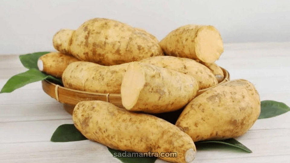 Kandungan Gizi yang Bermanfaat dari Ubi Cilembu