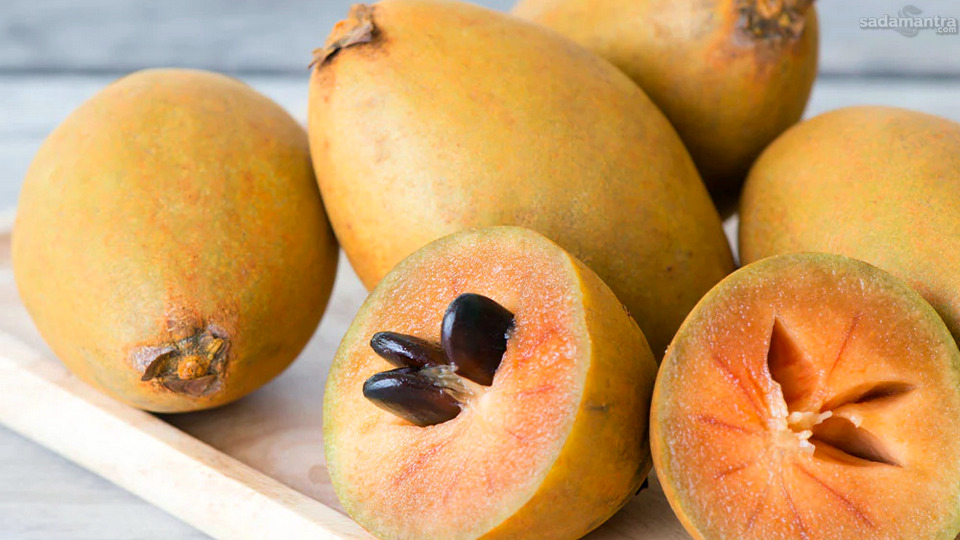 Kandungan Nutrisi dalam Buah Sawo